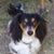 Linda Gilli's profile image