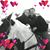 Vanessa Pascale's profile image