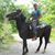 Gale Bickett's profile image