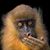 Garrin Porter's profile image