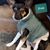 Teresa Uecker's profile image