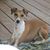 Joy Gillett's profile image