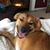 Bruce Reeves's profile image