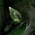 Giz Coughlin's profile image