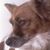 Jonathan Kim's profile image