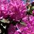 Michelle Taylor's profile image