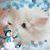 Linda Chilly's profile image