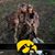 Josh Townsend's profile image