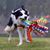 Pamela Johnson's profile image