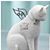 Alecia Ann Okeson's profile image