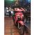 Xaii Phavilaivong's profile image