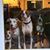 Sue Daidone's profile image
