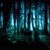 Nissa White-Frost's profile image