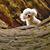 Bonnie Harland's profile image