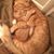 Iris Blando's profile image
