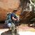 David Bernal's profile image