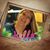 Helen Barnhardt's profile image