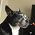Lisa Schwendeman's profile image