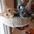 Suzanne DeGroat's profile image