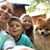 Jennifer Draper Schafer's profile image