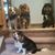 Julie Schaffer LeRud's profile image