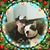 James Perrine's profile image
