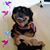 Candelaria Gee's profile image