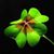 Susi Lein's profile image