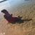 Grisel Alejandro's profile image