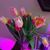 Desha Picorelli's profile image