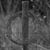 Mike Dreibelbeis's profile image