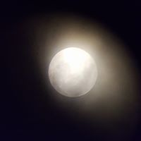 Vee Ramos's profile image
