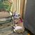 Kimberly Swanson's profile image