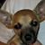 Lisa McGill Ross's profile image