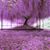 Karen L. Treanor-Russell's profile image