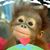 Charles Gronachan's profile image