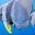Alex's profile image