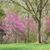 Patti Keiper's profile image