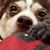 Sheila Roberts's profile image