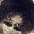 Stephanie Bell-Robinson's profile image