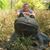 Louise Ranck's profile image