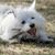 Mary Beth D'Aloia-Kahabka's profile image