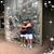 Debi DiMartino's profile image