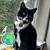 Karin Grice's profile image