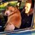 Joshua Blanchard's profile image