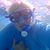 Robin Mitchell's profile image