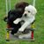 Sharon O'Leary Myszewski's profile image