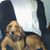 Christie Alston's profile image