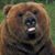 Becky Call Merkley's profile image