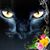 Patricia Flowers's profile image